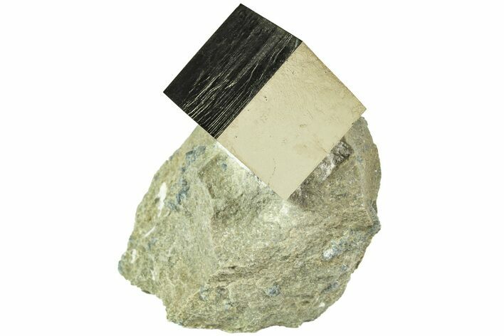Natural Pyrite Cube In Rock - Navajun, Spain #211396